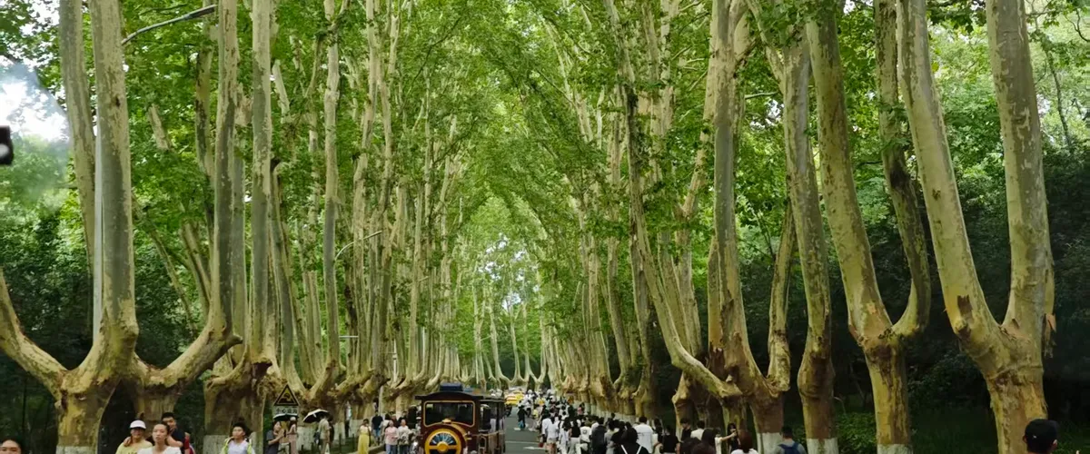 Нанкин — Нанкин для пары: романтичный 3-дневный маршрут